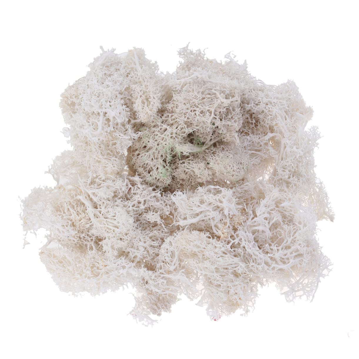 GLSTOY DIY Preserved Flower Materials 50g Moss Bulk for Wedding Bouquets Home Office Decor Easy to Use Moss Add-ons