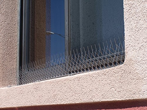 Nixalite Stainless Steel Bird Spikes E-Spike (8 Ft. (4-2 Ft. Strips)) #TOP5