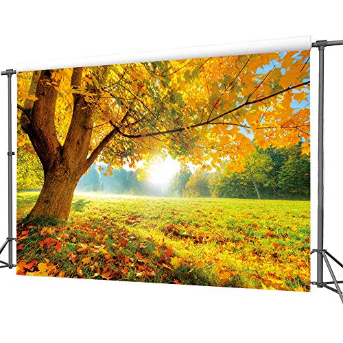 Lywygg 7X5Ft Autumn Golden Maple Deciduous Photography Background Fall Photo Backdrop Wedding Backdrop Newborn Photography Backdrops Cp-189 #TOP2