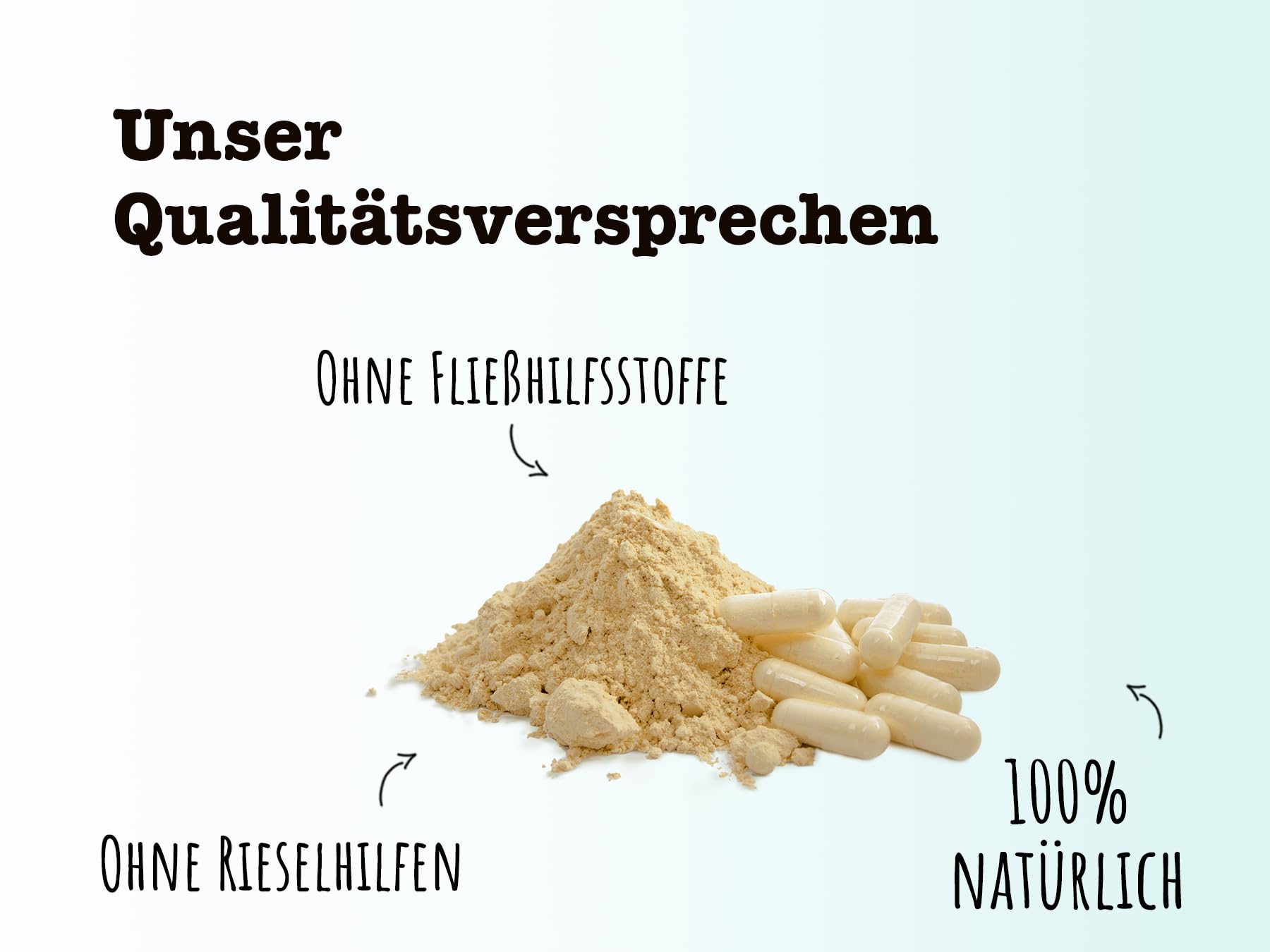 SPINTZ® 420 Stk. Bio Ingwer Kapseln - vegane Ingwer Kapseln hochdosiert - 2000 mg Ingwer Pulver Bio je Tagesdosis - Ingwerwurzel gemahlen | plastikfrei und nachhaltig verpackt
