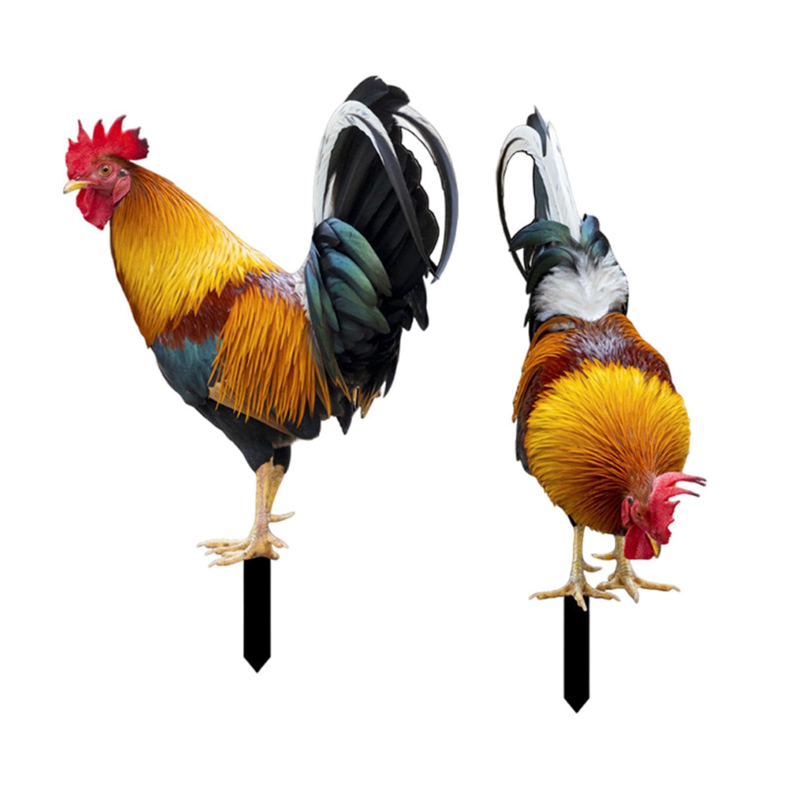 mophrati Adorable Chicken Figurines Statues Life To Surroundings Creating Warm Welcoming Outdoor Ambiance Garden Decorations Are Made Of Premium Acrylic, Style AB