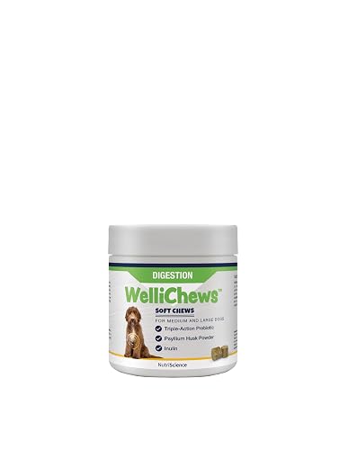 WELLICHEWS - DIGESTIÓN Perro/Gato PEQUEÑO (120U) 106.4G