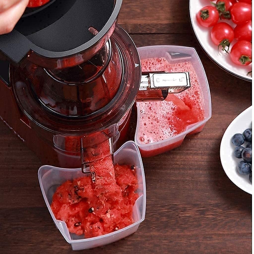 Slow Juicer Machine, Whole Fruit Masticating Juicer with Double Mouth Separation Mode, High Nutrient & Vitamin Extraction, Easy to Clean, Compact