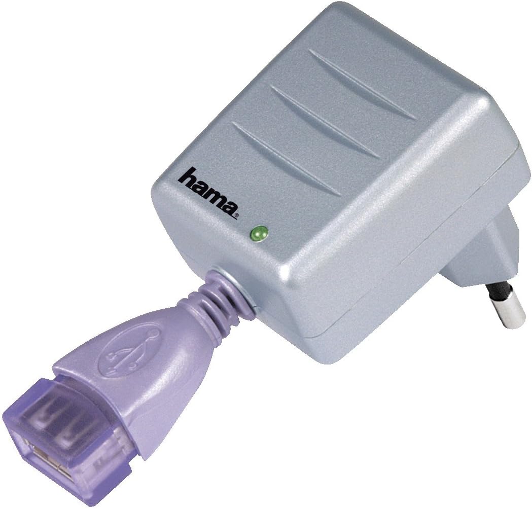 Hama USB-Ladegerät Travel - Kompaktes Ladegerät Für Sony NP-BN1 Akkus