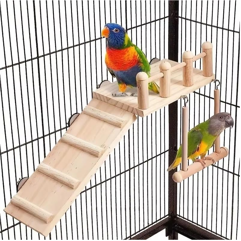 AWRAAQ Wooden Bird Perches Platform Swing with Climbing Ladder, Parakeet Cage Accessories Wooden Playing Gyms Exercise Sturdy for Birds, Hamster and Small Animals-image-23