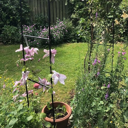 Arche de jardin pour rosiers avec structure stable et montage facile