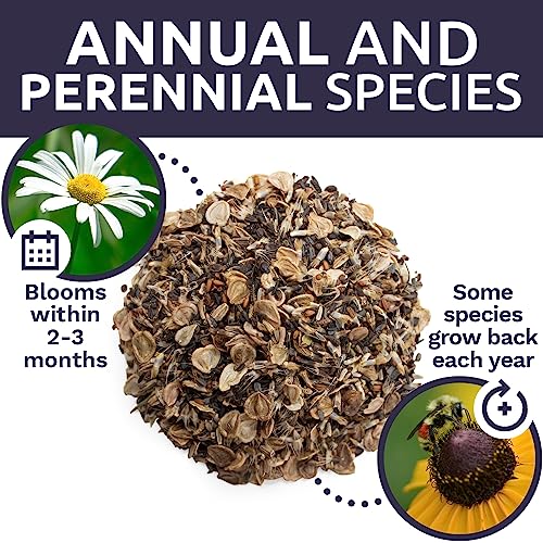 Sweet Yards Seed Co. Drought Tolerant Wildflowers Mix – Extra Large Packet – Over 7,500 Open Pollinated Non-Gmo Seeds – 21 Different Dryland Species! #TOP7