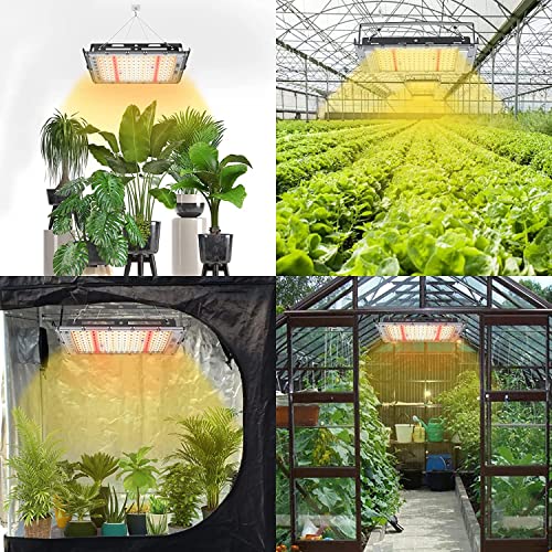 Engilen Grow Lights For Indoor Plants, 400W Full Spectrumg Grow Light,3 Types Dimmable, Remote Control,Suitable For Indoor Plants,Micro Greens,Clones,Succulents,Seedlings. #TOP5