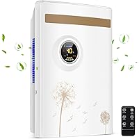 Deumidificatore Casa 2200ML, Deumidificatore Portatile Muffa Silenzioso