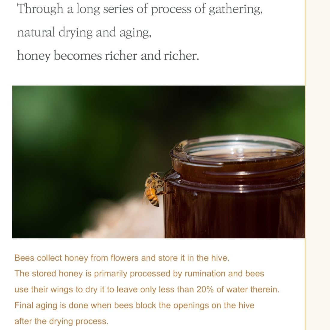 [I'm From] Honey Serum 30ml, 30.63% of Honey Glow Queen - Image 4