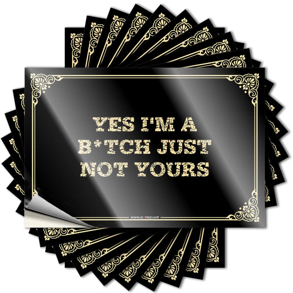 Spring Outdoor Decor Saying Bumper | Yes I'm A B*tch Just Not Yours Happy Outside Sticker Pack(8X12CM)
