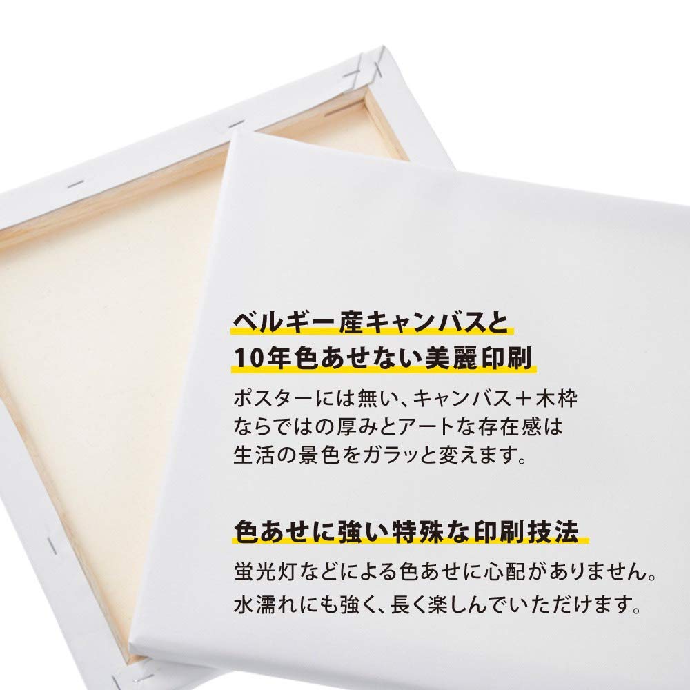 Amazon.co.jp: 【4枚セット】 ジャスミン アラジン セットアップ 完成