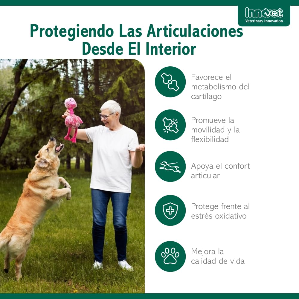 Innovet Condrostress Mobility 90ud Condroprotector Perros Adultos y Senior | Mejora el Metabolismo del Cartílago, Movilidad y Rigidez Articular – Colágeno, Condroitina y Ácido Hialurónico