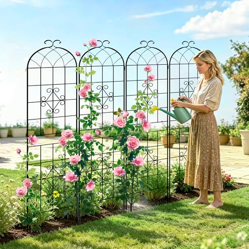 Image of LZRS 2 Pack 78.7x20in Rustic Iron Arch Decoration Garden Trellis with Black Metal Coating - Perfect for Supporting Climbing Plants Outdoor, Roses, Vines, Flowers, and Vegetables.