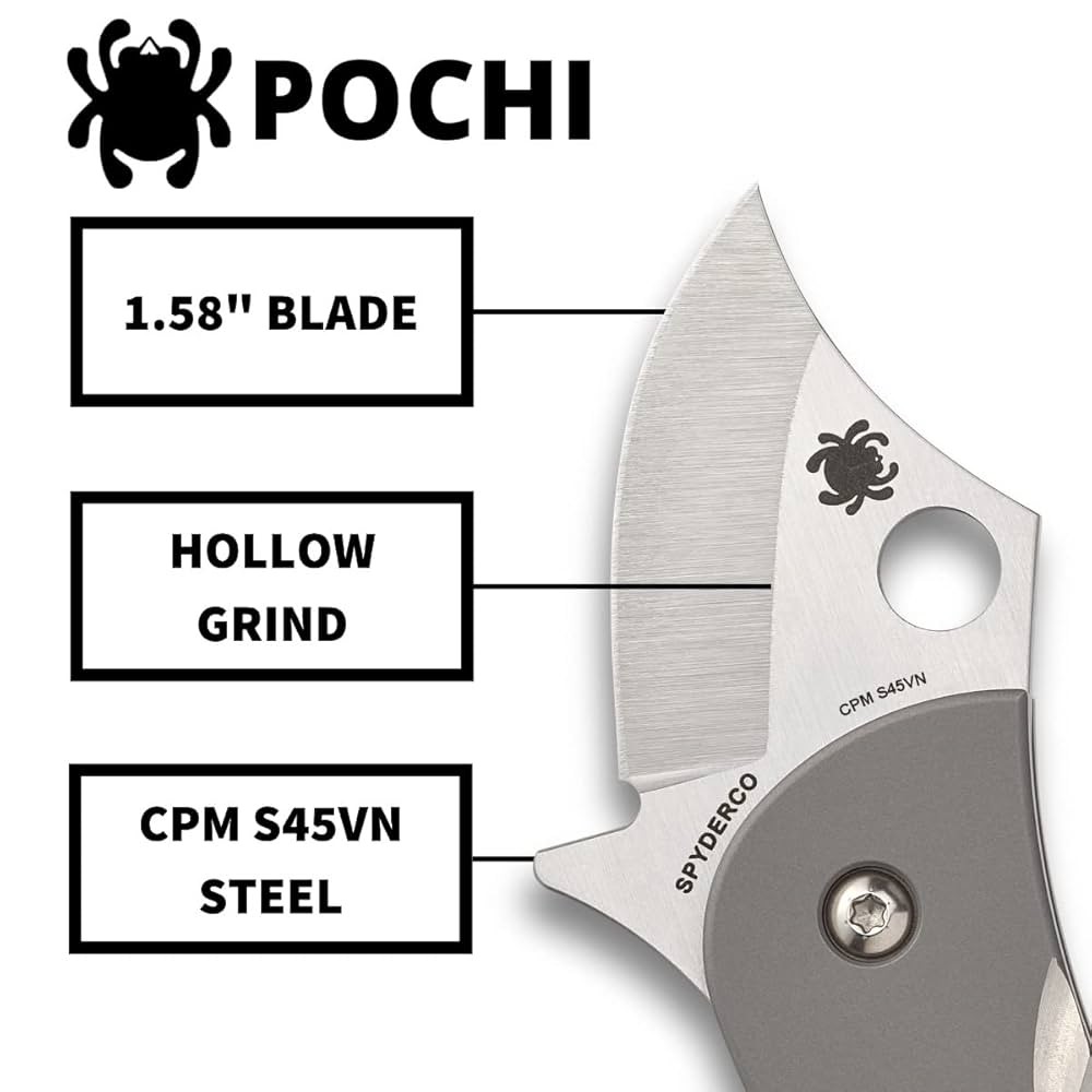 Amazon.com : Spyderco Pochi Knife with Stainless Steel Blade