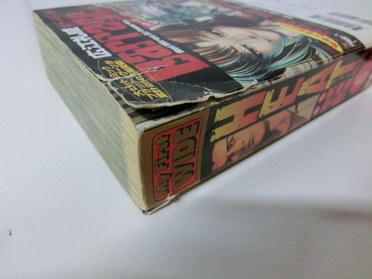 HEAT 全17巻セット 画・池上遼一・作・武論尊 ビッグコミックス Amazon.co.jp: Heat―灼熱 コミック 全17巻完結セット (ビッグ