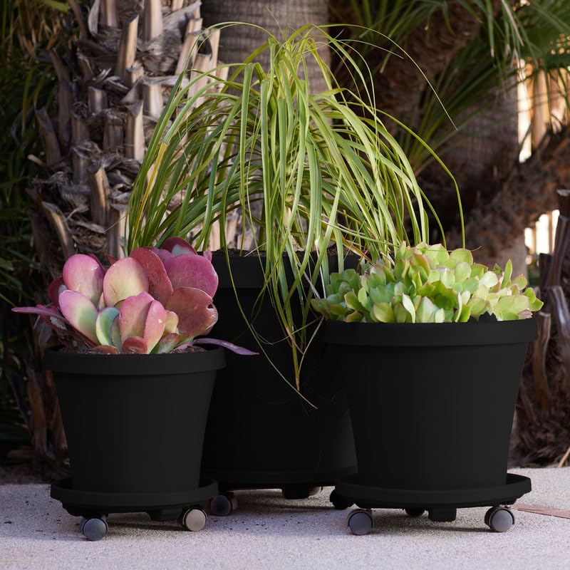 Pflanzkübel Mit Rädern – 2 Stück, 35 Cm, Beweglich Für Drinnen & Draußen