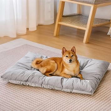 FUNNY FUZZY Cat and Dog Bed, Washable Cat &Dog Crate Bed, Dual-Sided Reversible Floor Plush Calming Cat Dog Mat, Lightweight Travel Pet Beds for Puppy Cats &Dog,35.4" 22.8", Silver Grey