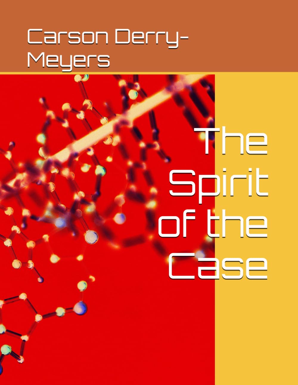 The Spirit of the Case