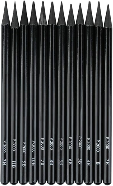 EVNEED Woodless Pencil Set,12 pcs Non-wood Graphite and Charcoal Sketching for Drawing,Writing,Shading,Color Black-Set of 12