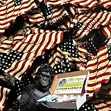Hydrographic Film Kit Dip Ape We The People Flag Constitution Preamble United States of America Hydrographics Water Transfer Hydro Dip Dipping Kit