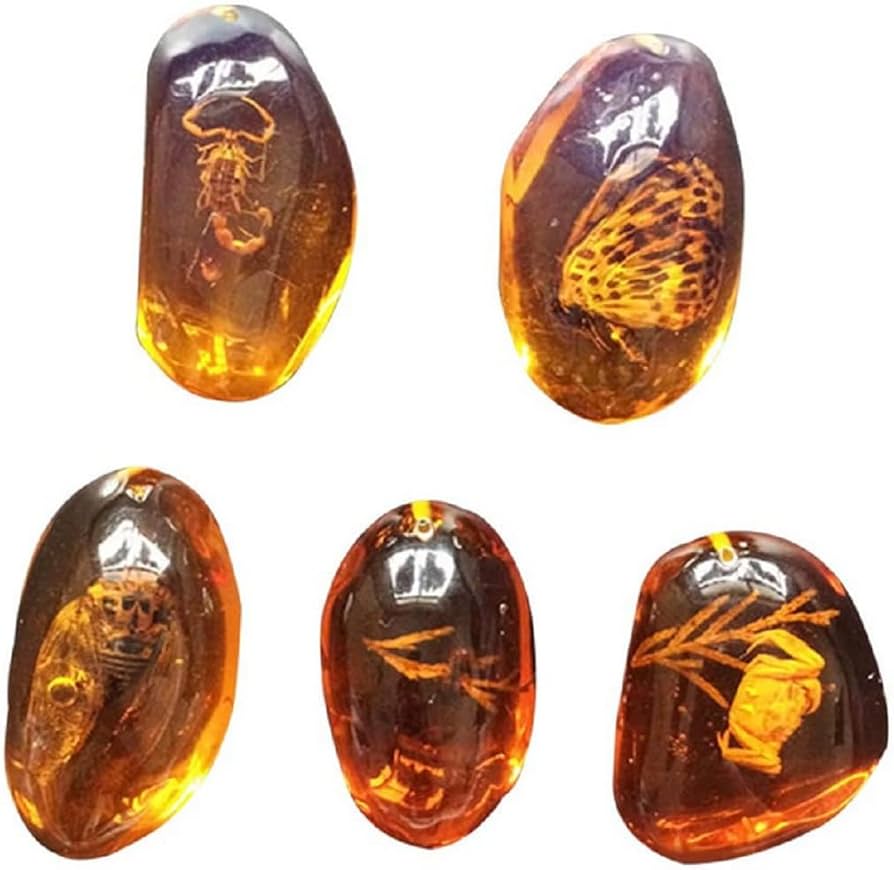 Amazon.co.jp: zmgmsmh 5個 アンバー化石 昆虫サンプルストーン