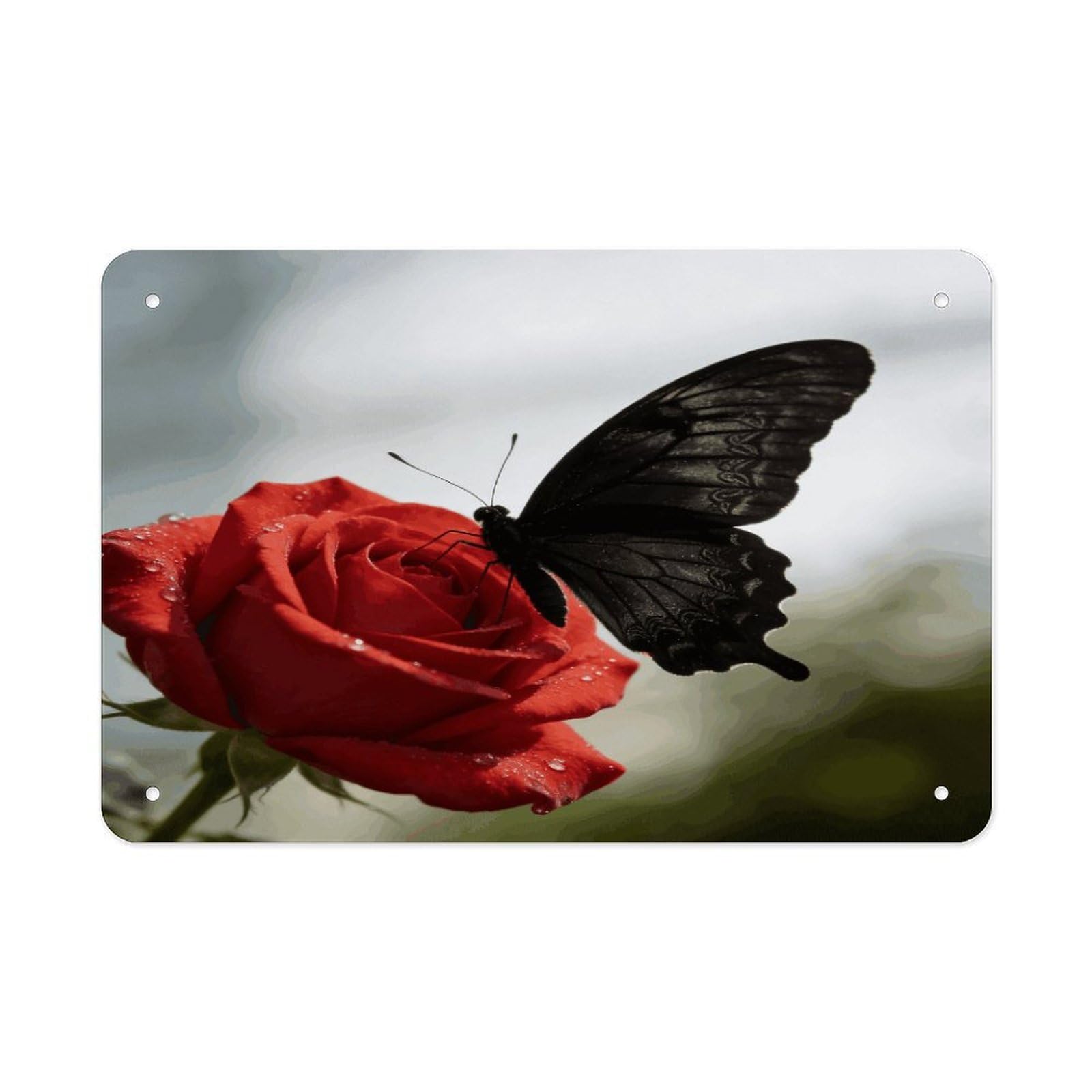 Khauerbc Style Black Butterfly Tin Sign Iron Sheet Painting Unframed 11.8X7.9 Inch Metal Poster Wall Decor Iron Painting Wall Prints For Living Room Bedroom Office Home Decor