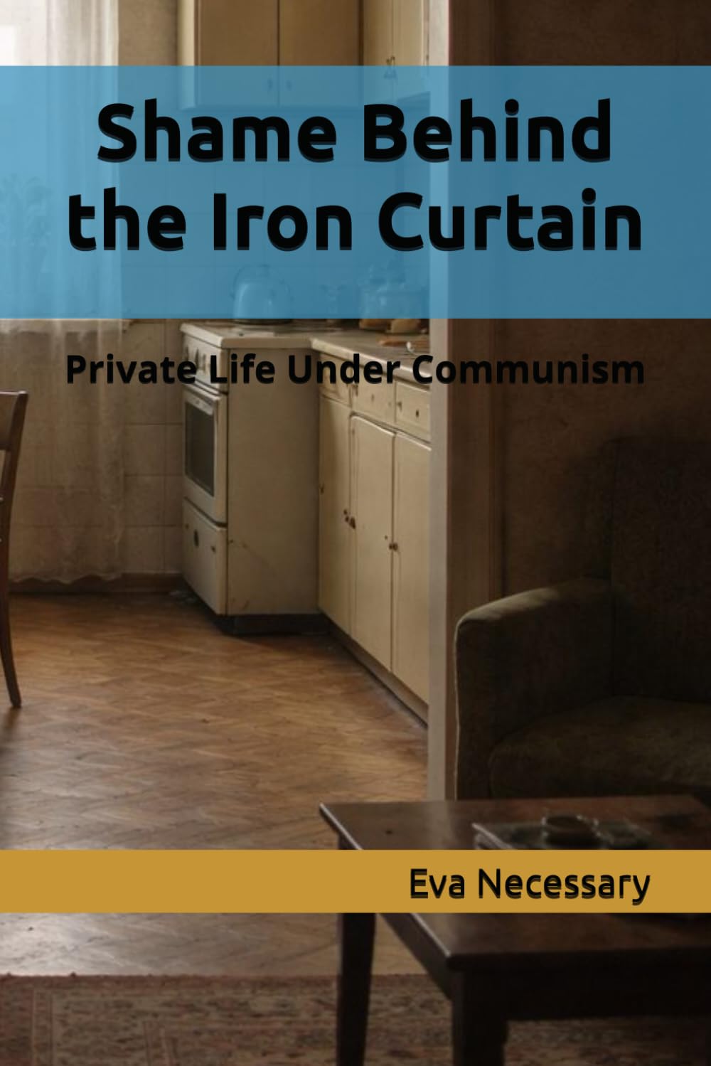 Shame Behind the Iron Curtain: Private Life Under Communism: 3 (W PRL-u)