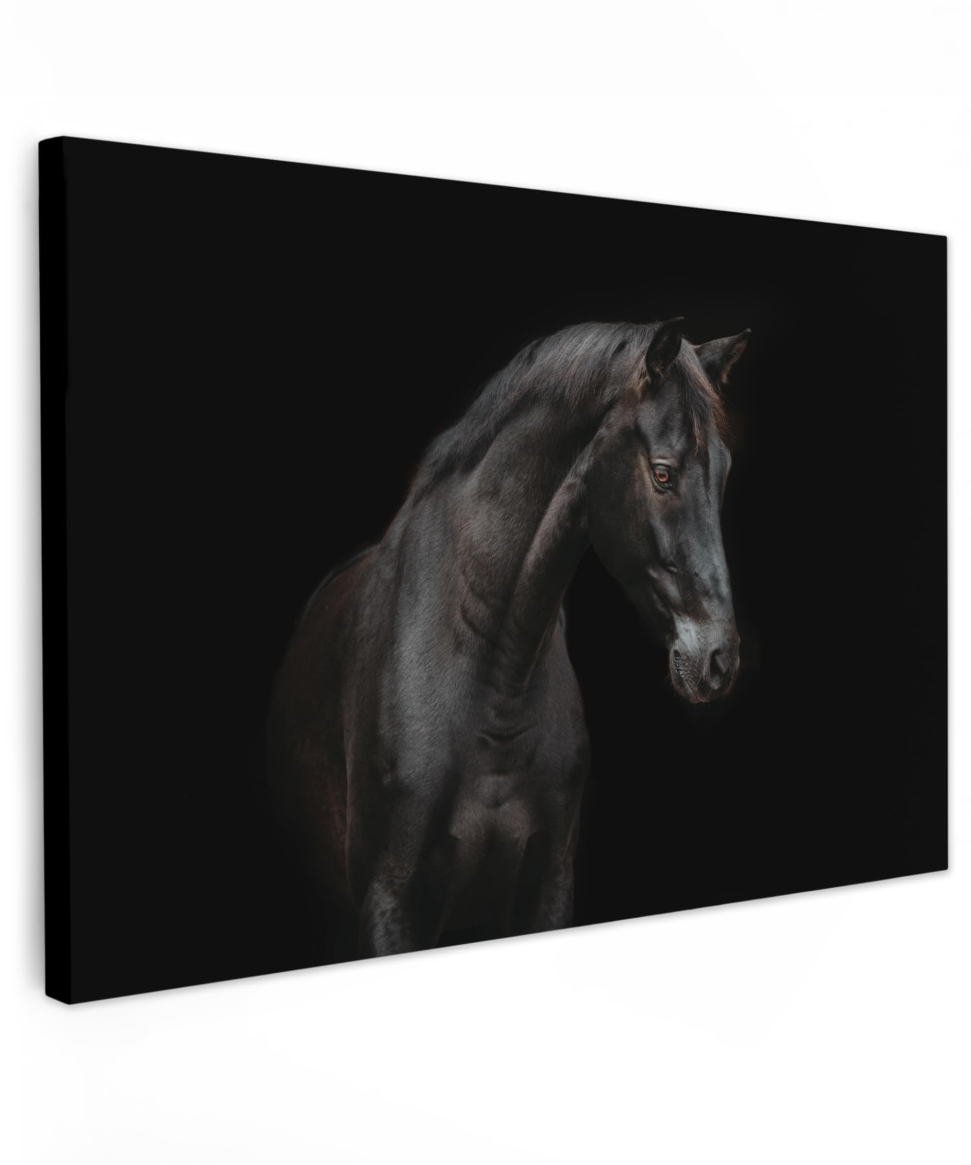 MuchoWow© Canvas Wall Art 35"x24" / 90x60 cm Decor Paintings Print framed on Canvas Pictures for Hallway Horse - Animals - Black - Portrait — image 1