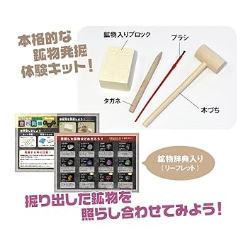 Amazon | 触れる図鑑コレクション 宝石発掘 世界の鉱物 発掘体験