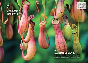 世界でいちばん素敵な理科の教室（世界でいちばん素敵な教室シリーズ