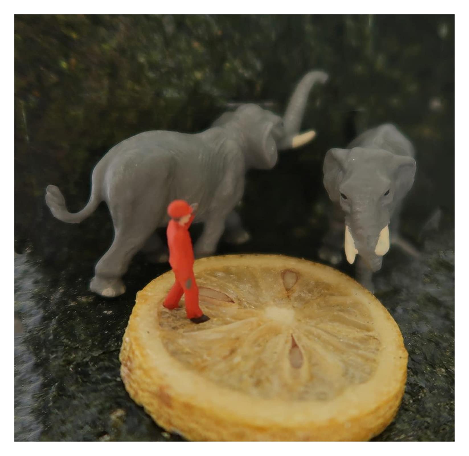 Miniaturas 1/87 modelo tren HO escala elefante y criador Diorama miniaturas figuras mesa de arena modelo escena macro fotografía accesorios (Color : 2PS elefantes)