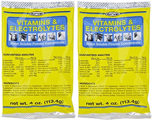 Vitamins & Electrolytes Conc, 4 oz (113.4g) (2 Pack)