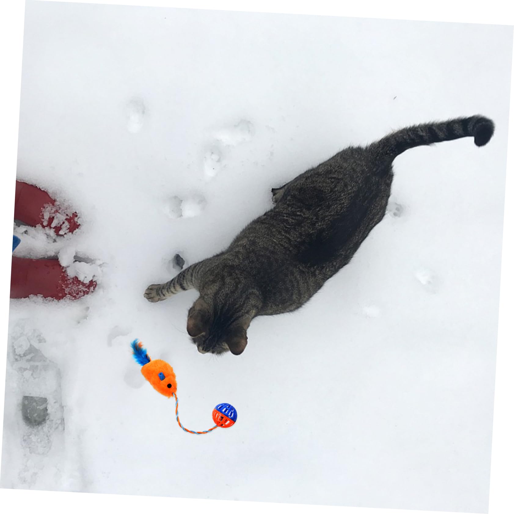 Jouet pour Chaton en Peluche et Plastique avec Clochette Sonore, Jouet Interactif pour Chat D'intérieur, Soulagement de L'ennui et Exercice
