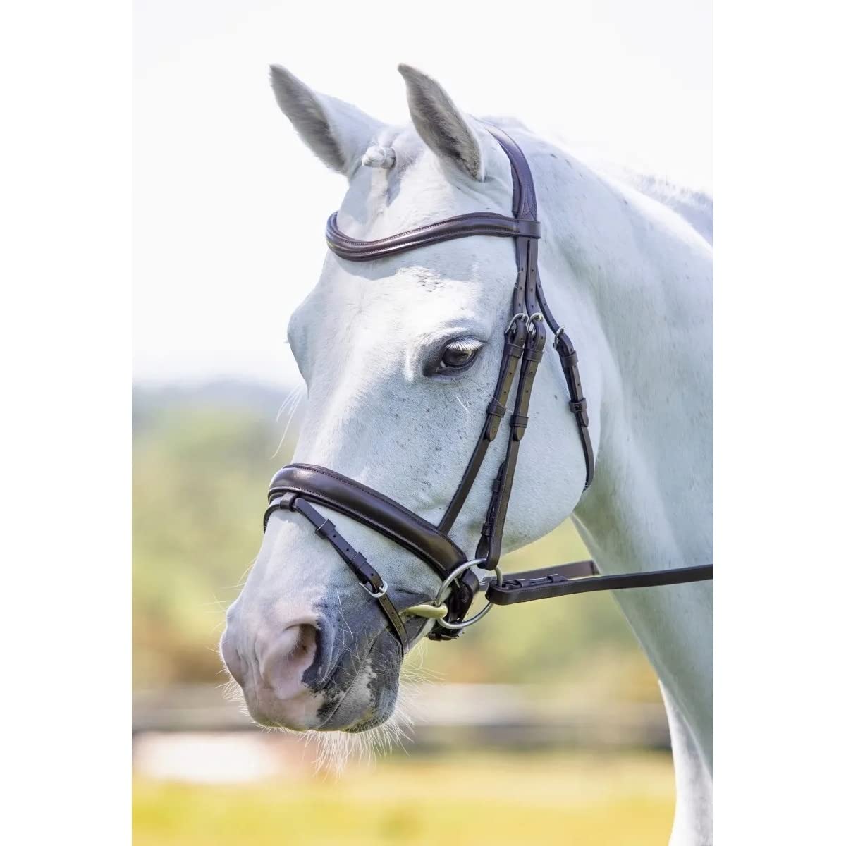 Shires Velociti - Brida de doma con flash - Havana Extra Full