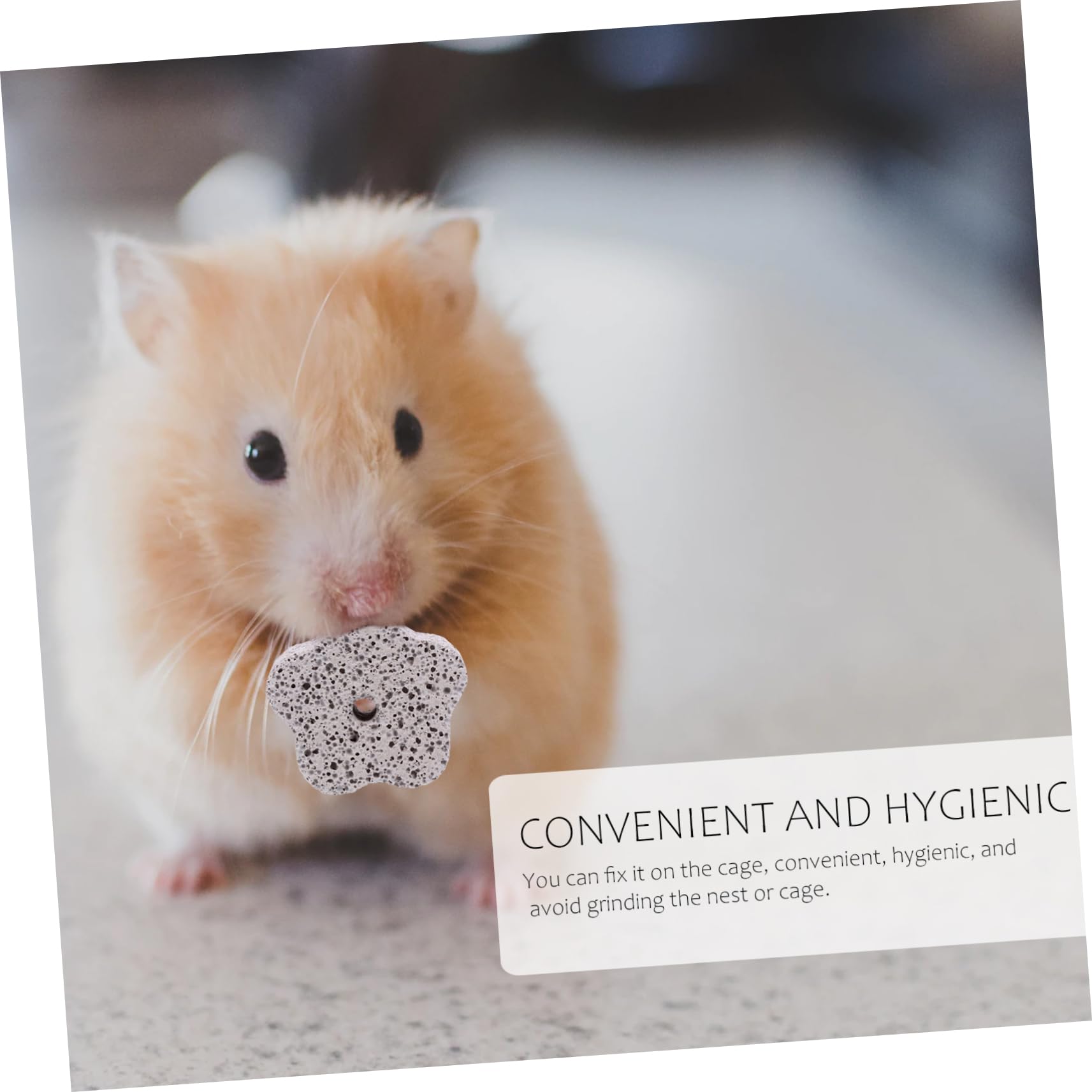 Yardwe 36stücke Calcium-Mineral-zahnungsspielzeug Pflaumenform Für Hamster Kaninchen Und Andere Kleintiere Sicheres Und Farbenfrohes Kauspielzeug Zahnreinigung Und Pflege