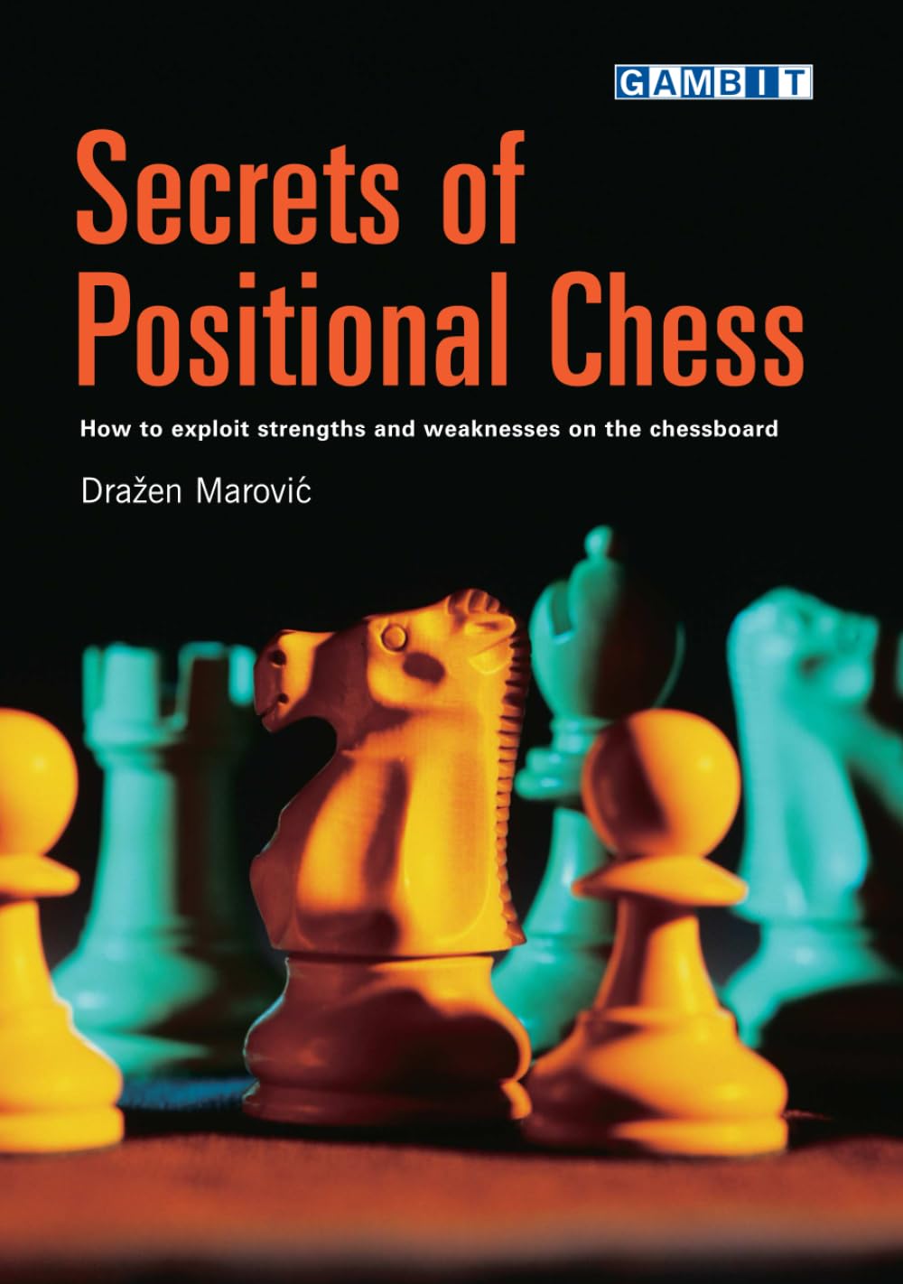 Secrets of Positional Chess