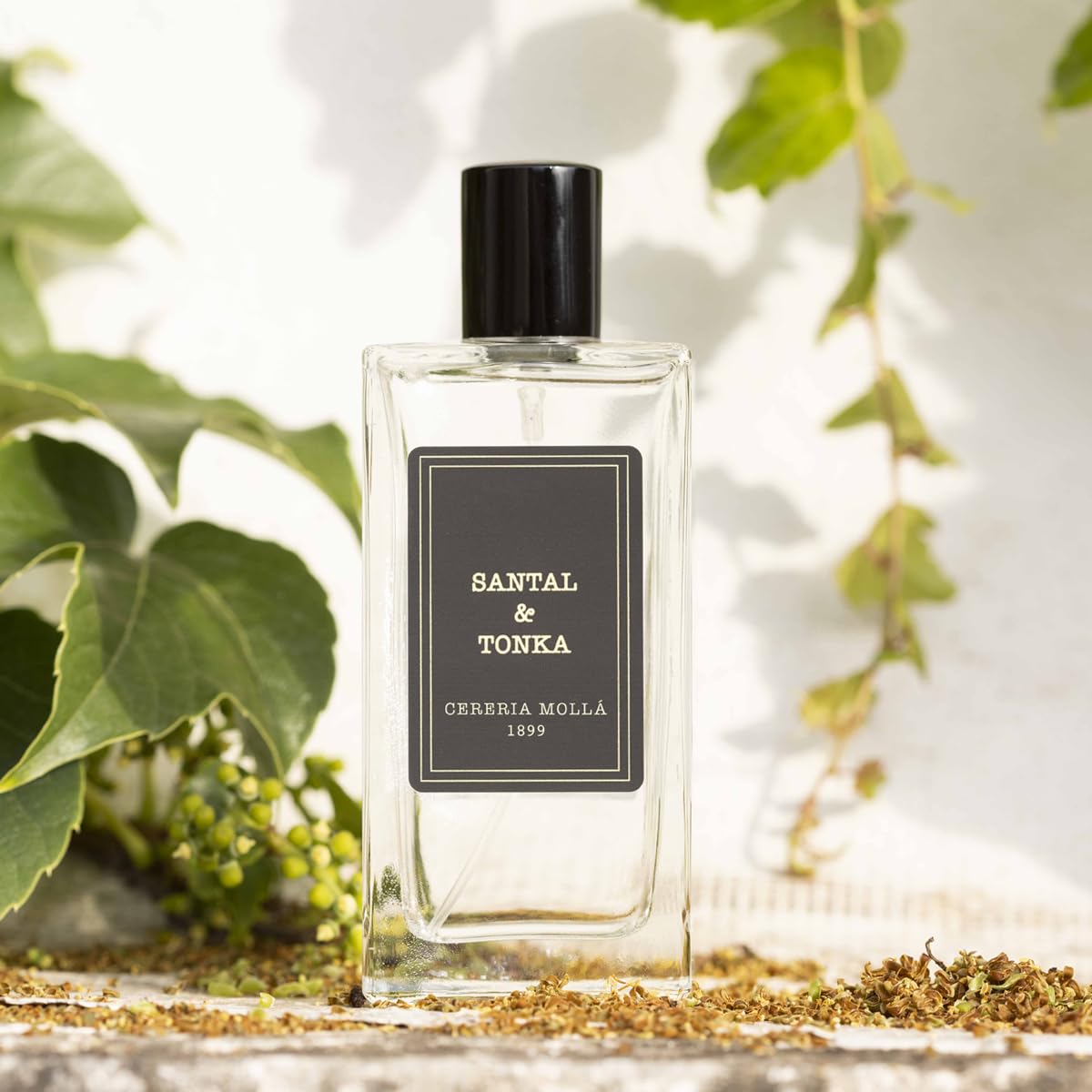 CERERÍA MOLLA 1899 | Room Spray & Body Mist Santal & Tonka | Para Perfumar tu Piel y Hogar | Frasco de Cristal con Difusor en Spray | 100 ml