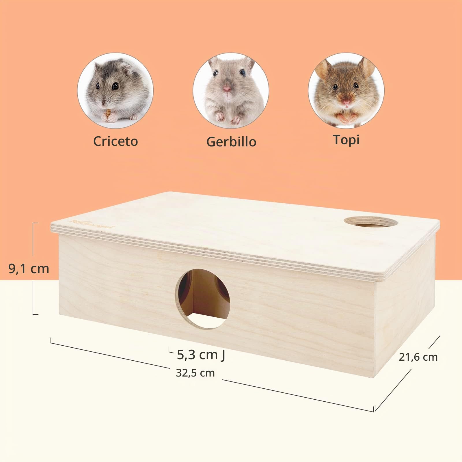 Niteangel - Labirinto Multi-Camera per criceti e Tunnel per Esplorare criceti, gerbilli, Topi, ratti e Altri Piccoli roditori