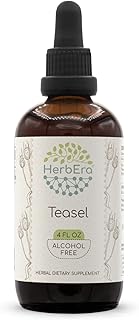 HerbEra Teasel B120 Alcohol-Free Herbal Extract Tincture, Concentrated Liquid Drops Natural Teasel (Dipsacus fullonum, Dipsacus sylvestris) 4 fl oz