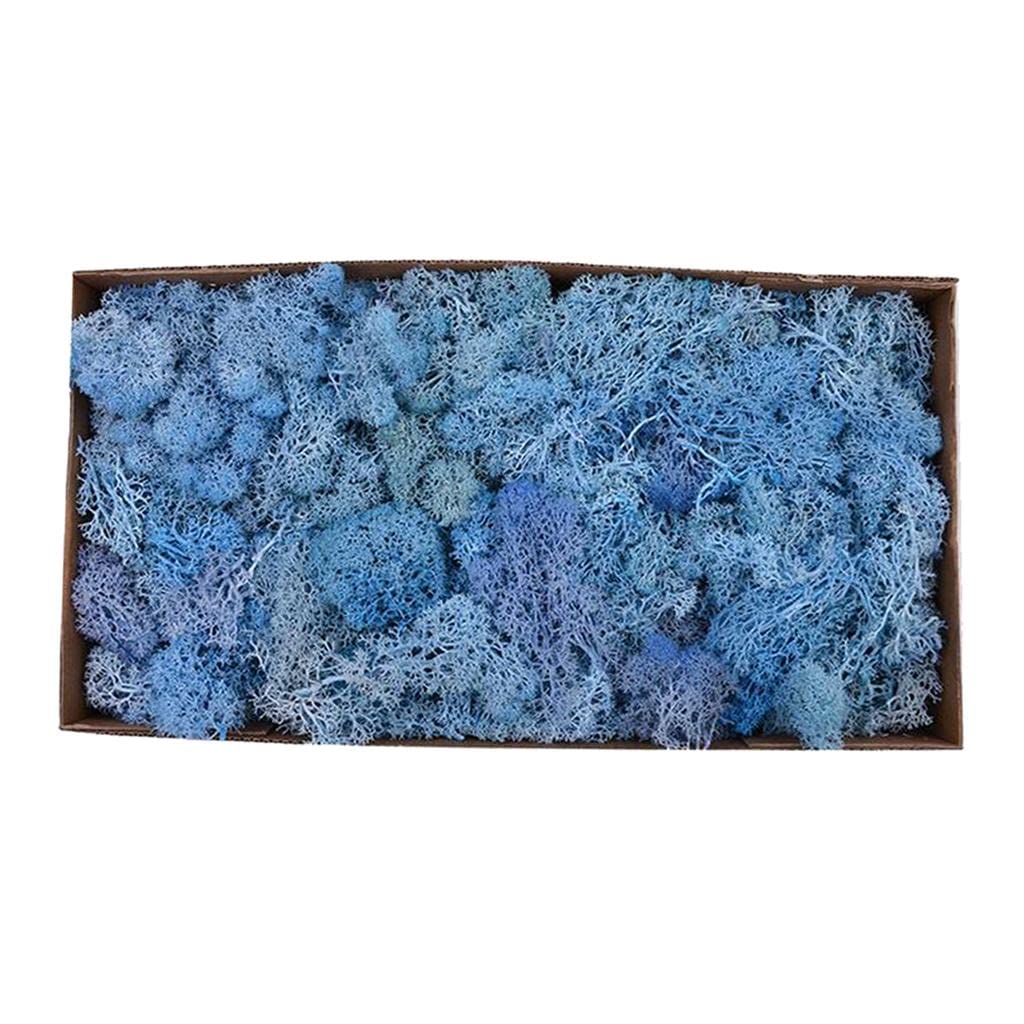 Reindeer Fiore Artificiale Fiore Preservato Fiore Secco Fiore Liner Muschio Naturale Stabilizzato con Adatto per Decorazione Domestica, Blu