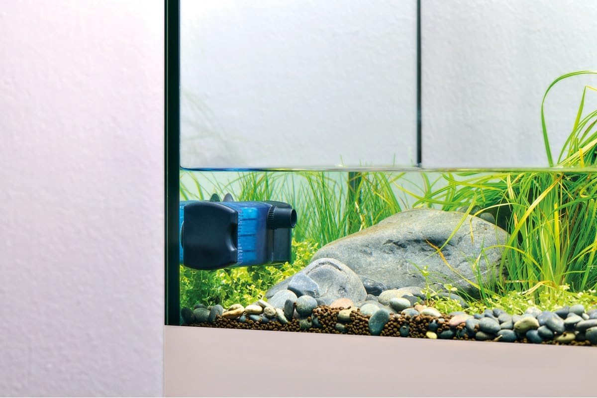 Eden FIN 25 filter installed horizontally in a low-water aquarium
