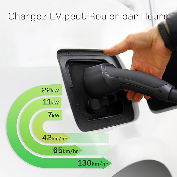 dé Type 2 Câble de Recharge Voiture Électrique 7,4kW 10m, Monophasé, 32A, Cable Type 2 avec Sac de Transport, Compatible avec e-208, Spring, 500e, Model 3, Megane EV, Zoe et Autres EV et PHEV - 2