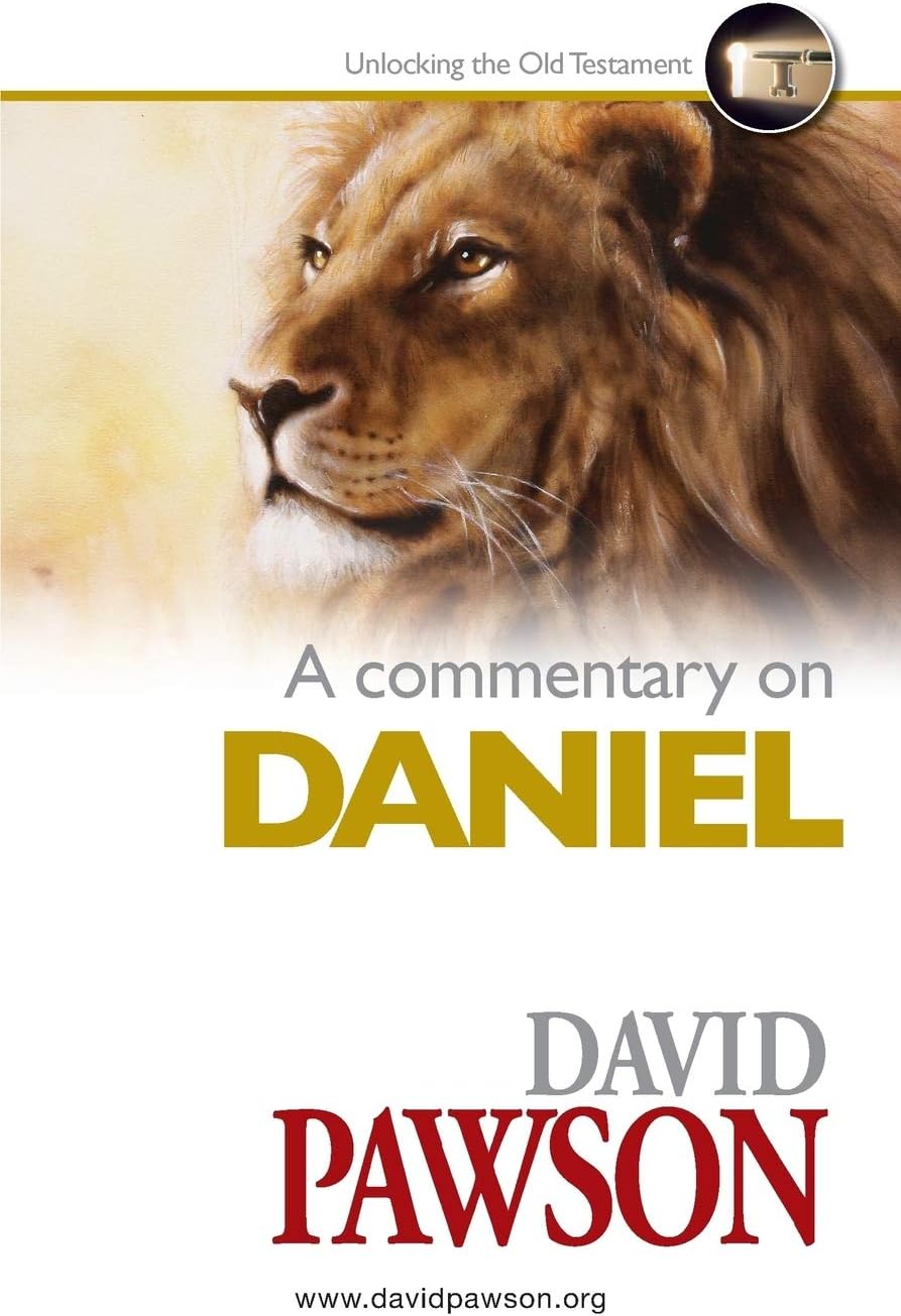 A Commentary on Daniel Paperback – September 19, 2016