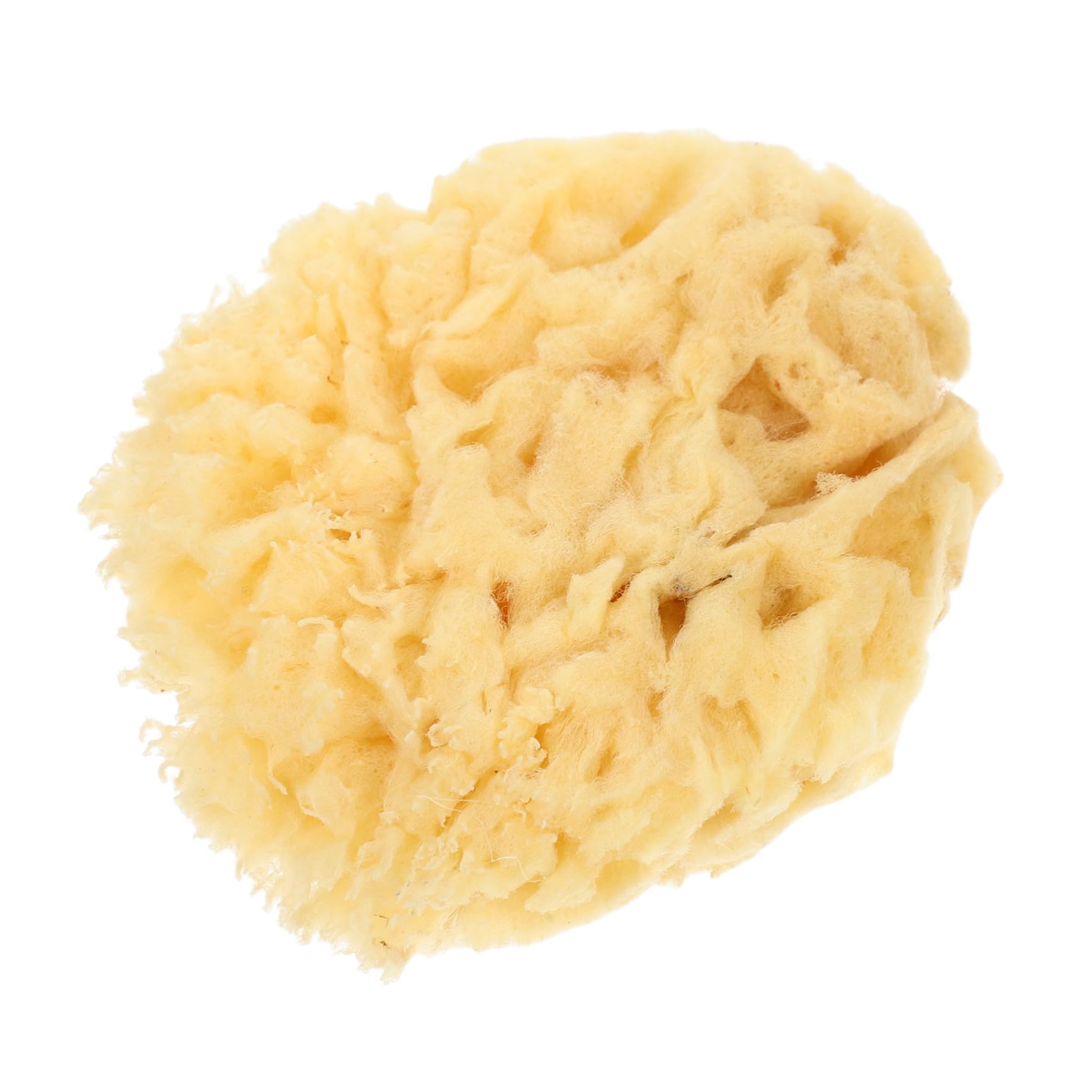 Holibanna Natural Art Sponges for Painting Soft Durable and Highly Absorbent Watercolor Tool for Artists Multi Functional Craft Sponge for DIY Projects