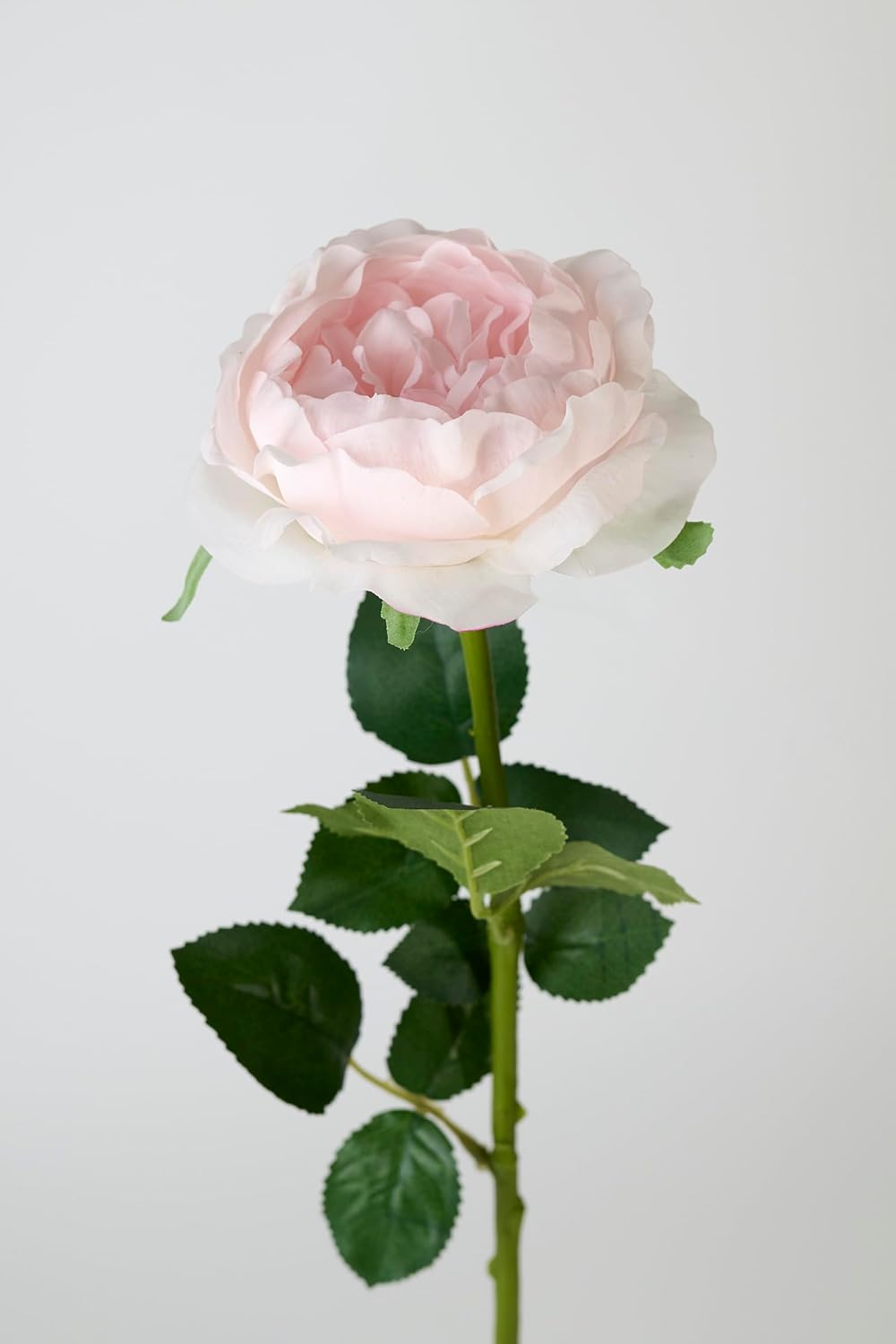 Artificial Austin Roses 3PCS Real Touch Rose Flowers Pink Faux Silk Flowers for Wedding Party Home Decor Flower Arrangement - Image 7