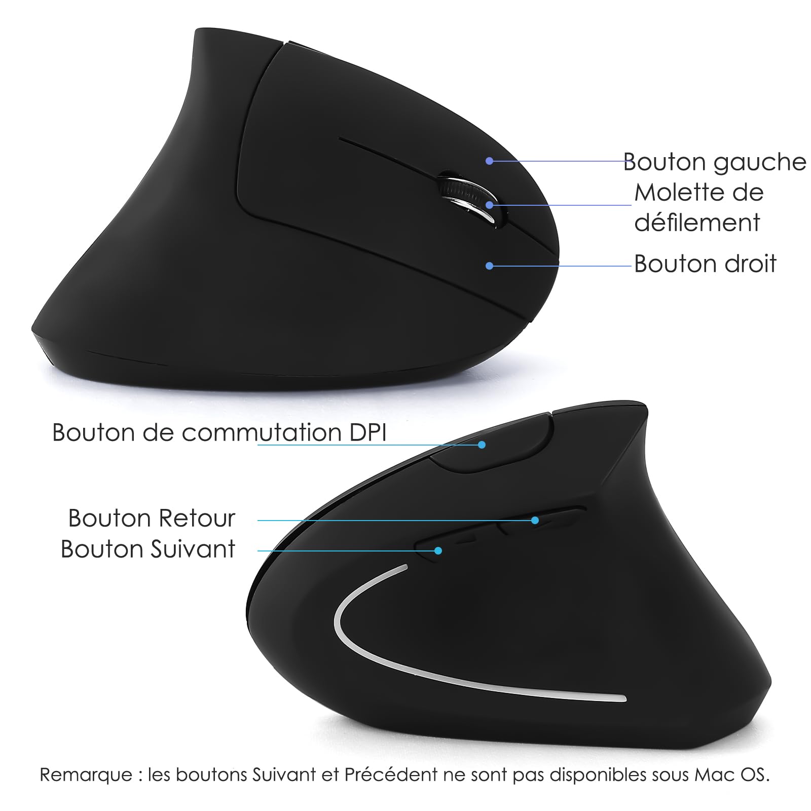 Clavier Ergonomique Pleine Taille et Souris Verticale sans Fil 2,4 GHz avec Support pour tablettes, Repos-Poignet et Bouton de Volume, adapté aux Ordinateurs Portables Mac/PC et Chromebook