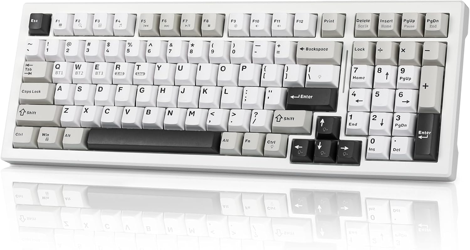 Wireless Game Mechanical Keyboard BT5.0/2.4GHz/USB-C, Multi-Color LED with 18+ Modes, Hot-Swappable Custom Keyboard, Red Creamy Switches, Gaming Keyboard for PC/Mac (Black White)