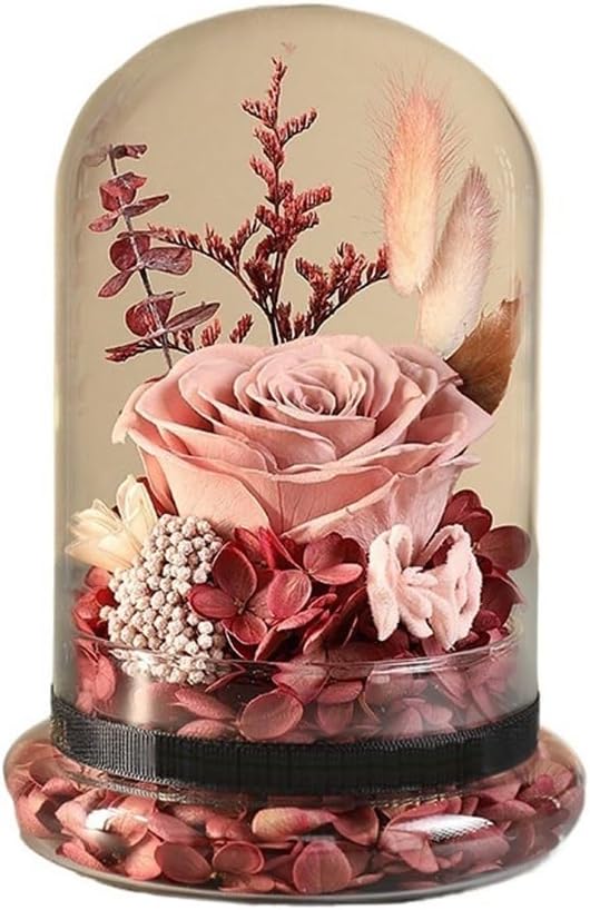 Dry Flower Bundle Eternals Glass Cover Gift Box Wedding Birthday for Girlfriend and Wife