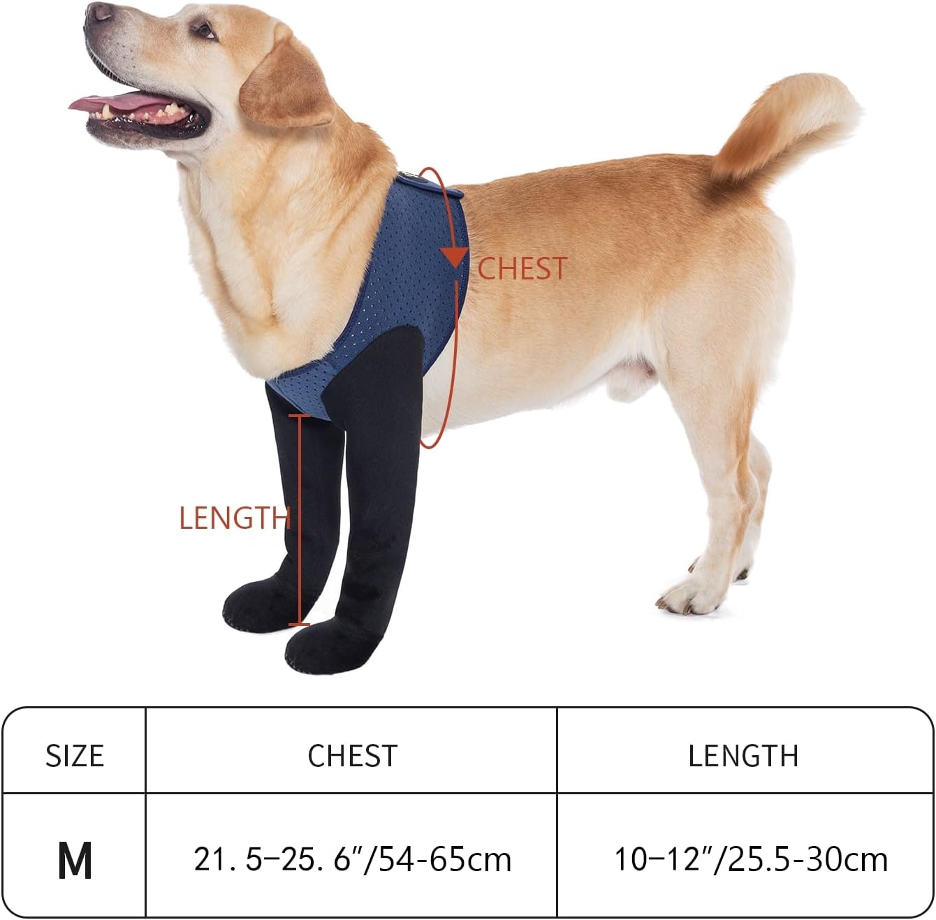 COODEO Dog Socks & Paw Protectors - Front Paws Only, Non-Slip Waterproof Dog Boots to Prevent Paw Licking, Protect Wounds & Aids Post-Surgery Recovery (Blue, M)